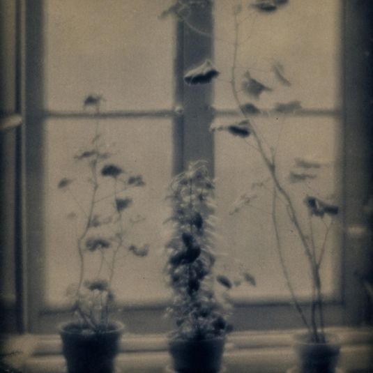The Attic Window, Dresden