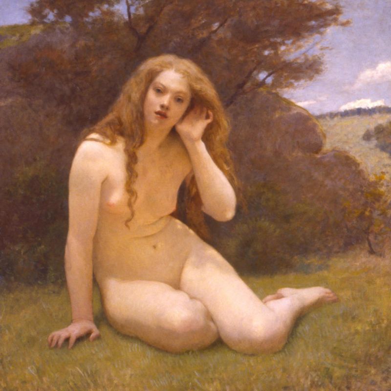 Echo