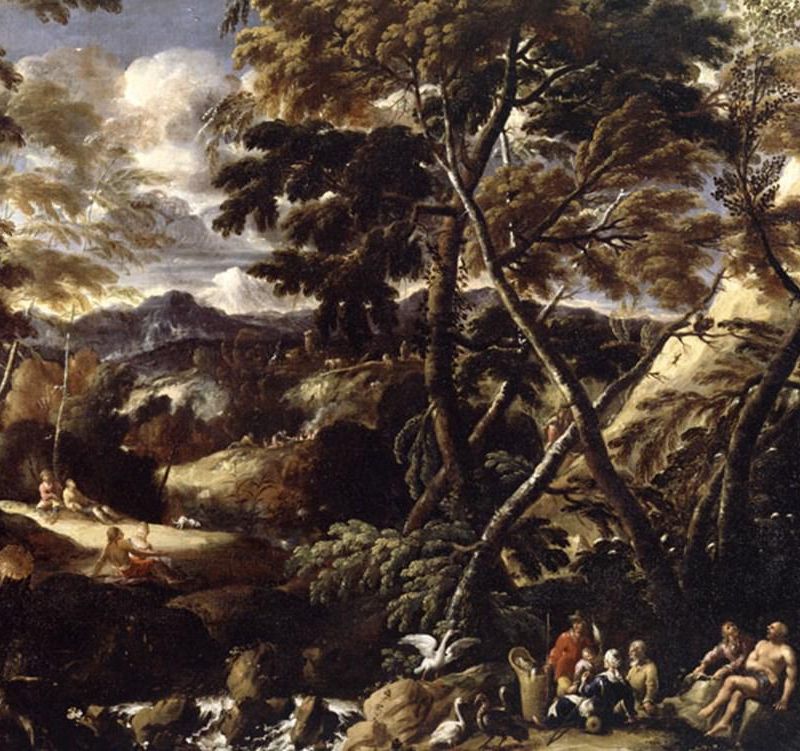 Woodland Landscape