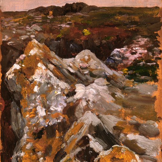 Near Kynance Cove, Cornwall