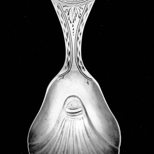 Caddy Spoon
