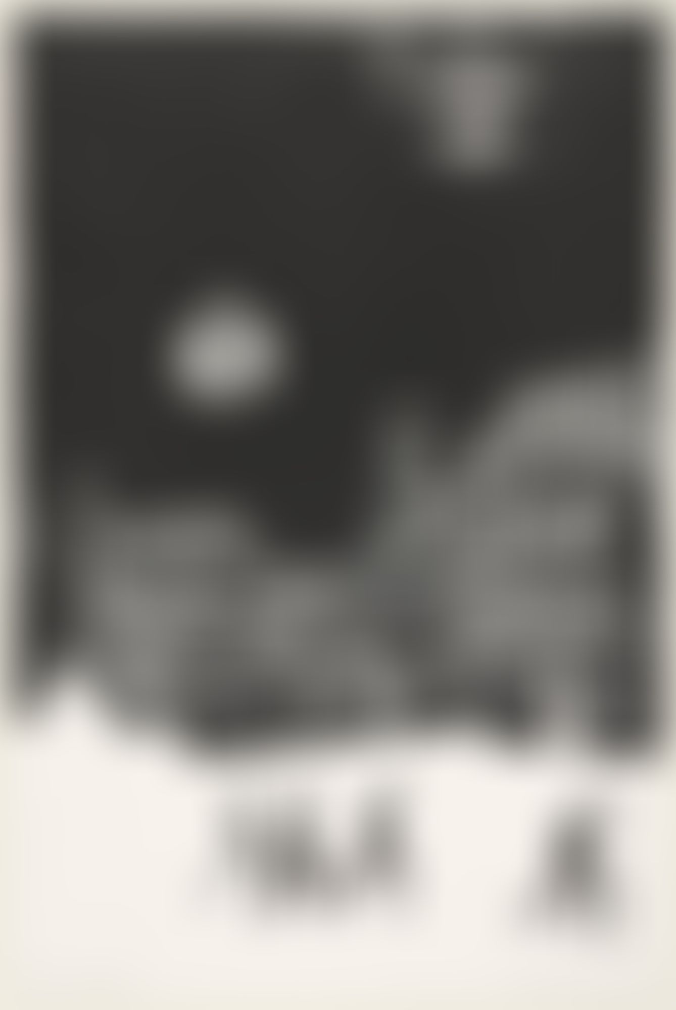 Object Image