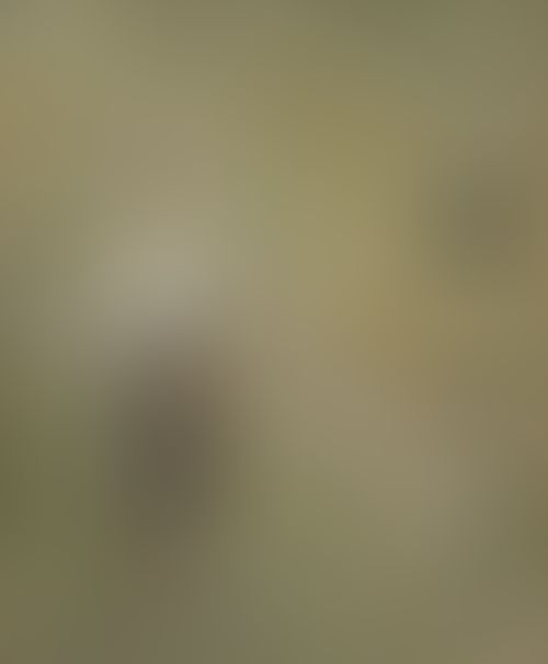 Object Image
