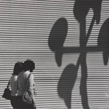Dos Mujeres y la Gran Cortina con Sombras (Two Women, a Large Blind, and Shadows)