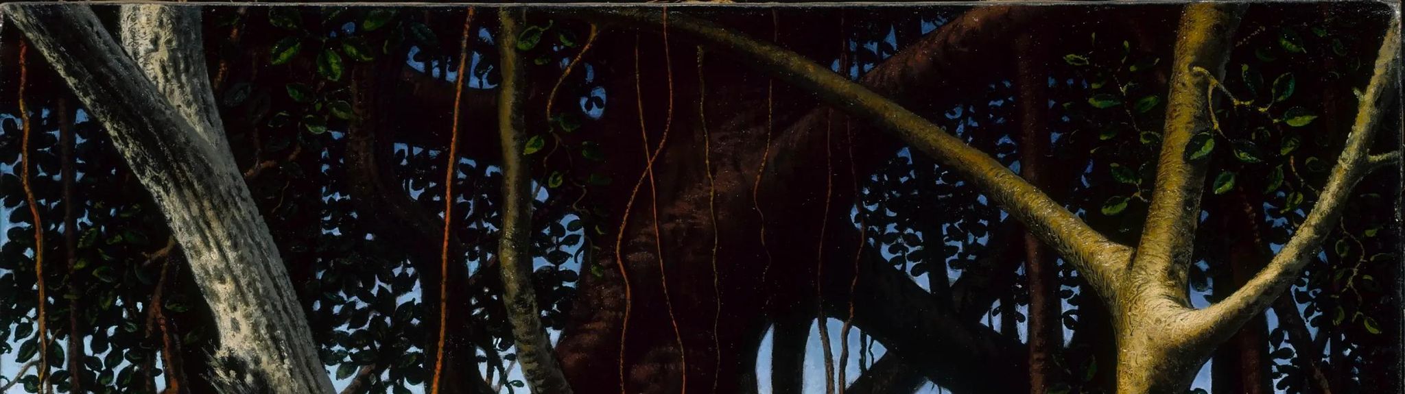 Banyan Tree