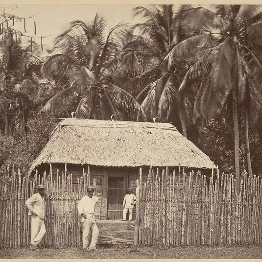 Tropical Scenery, Native Hut, Turbo