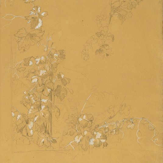 Vine, Study for “Hermann and Dorothea in the Vineyard”