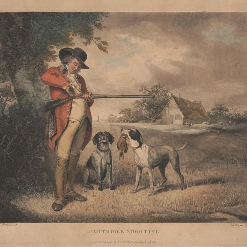 1. Partridge Shooting