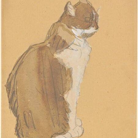 Cat with a White Front