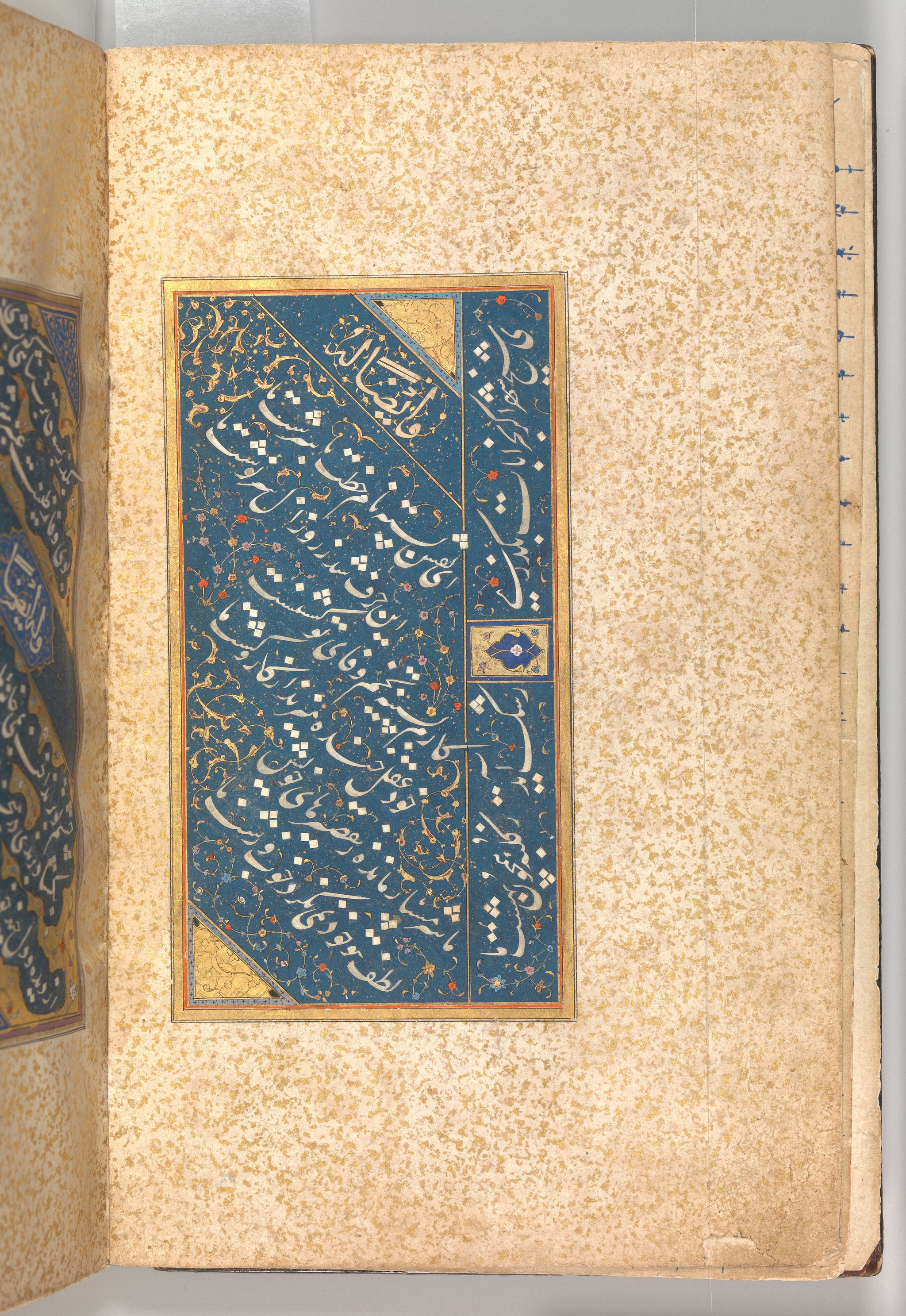 Object Image