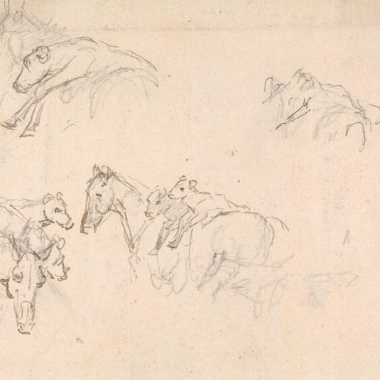 Study of Horses Carrying Calves on their Backs