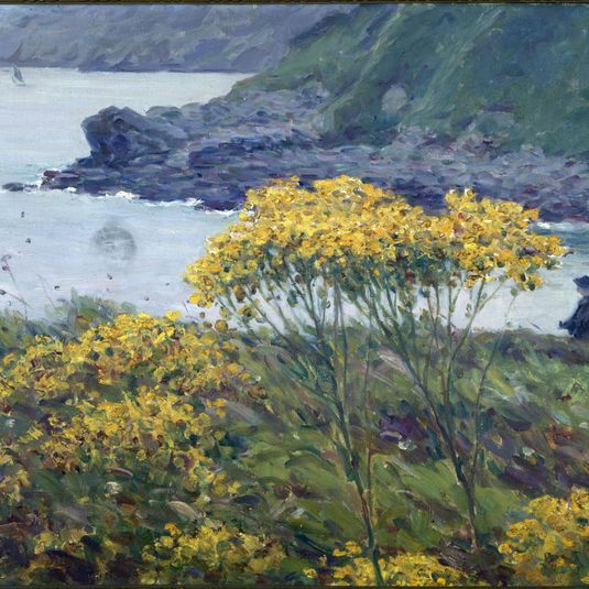 Ombelle jaune
