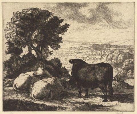 The Cheshire Plain