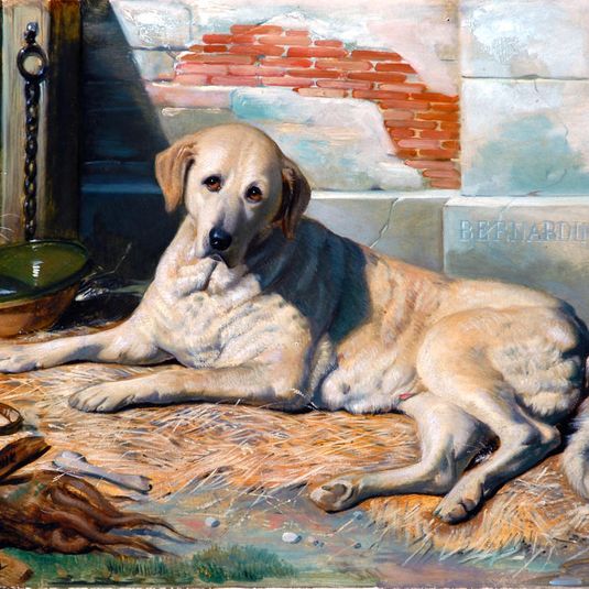 Bernardine (Mrs. Bowes' Dog)
