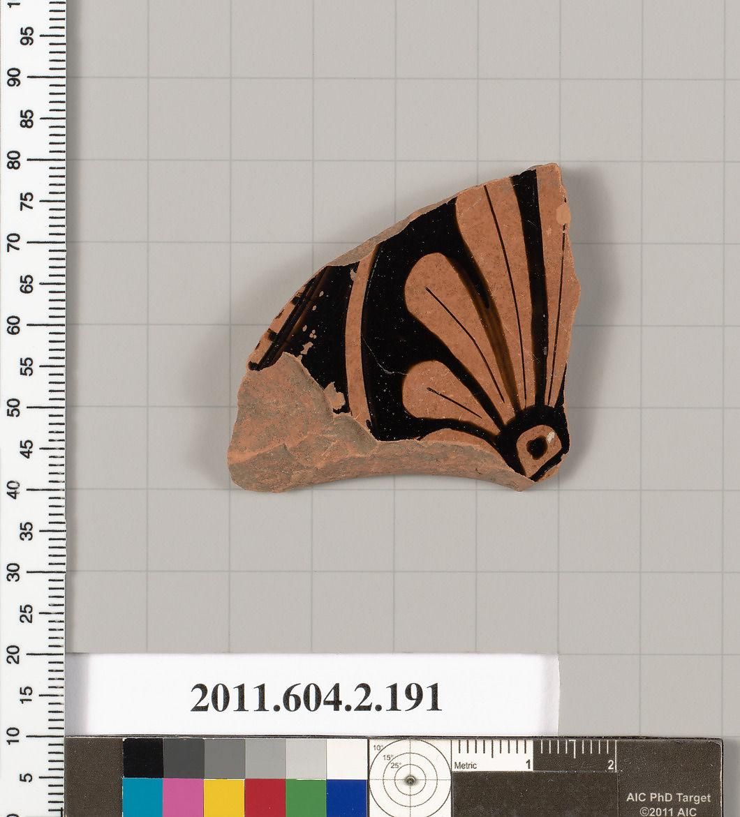 Object Image