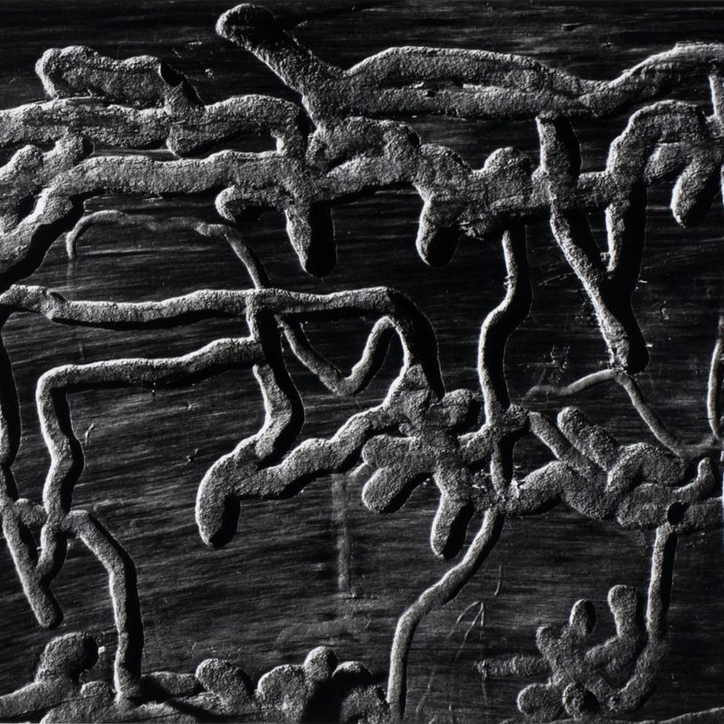 Untitled (Wormwood)
