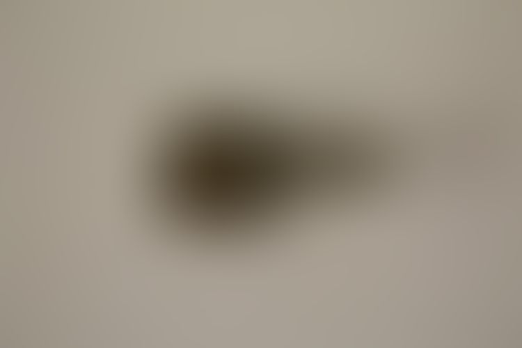 Object Image