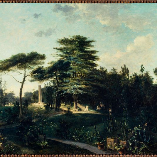 Le cèdre du Liban, au jardin des Plantes