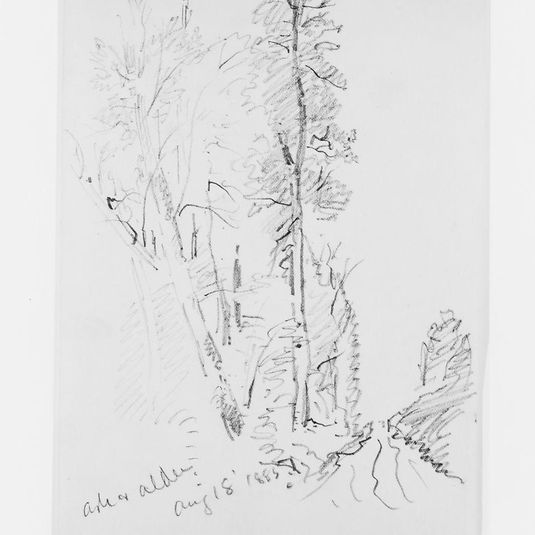 Ash and Alder Aug 18 1885 (from Sketchbook X)