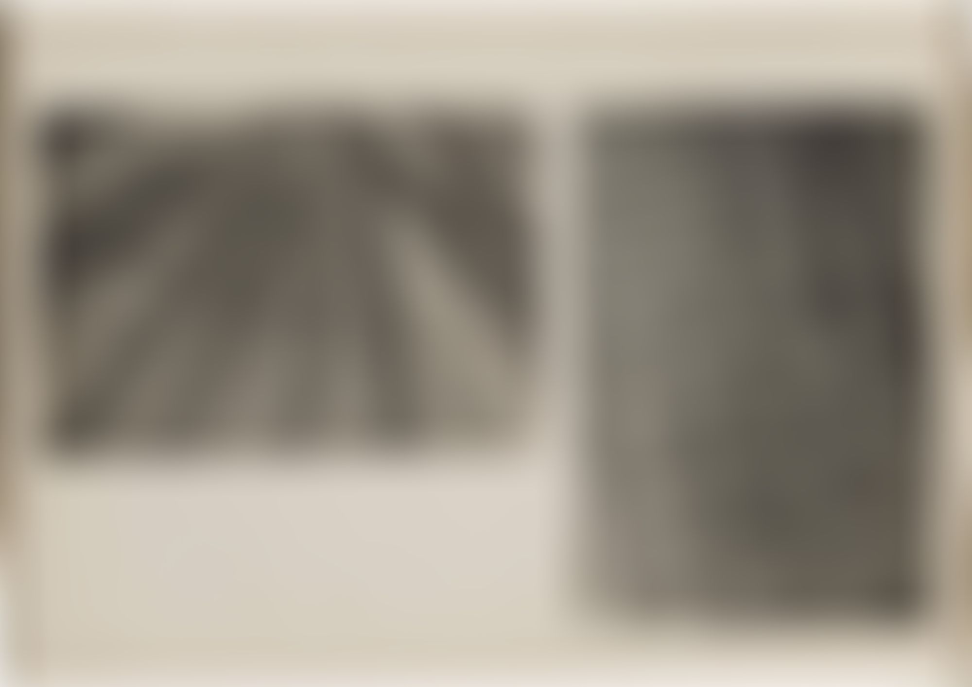 Object Image