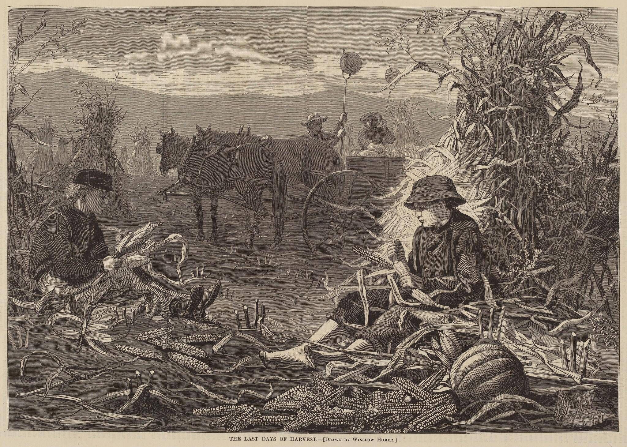 The Last Days of Harvest
