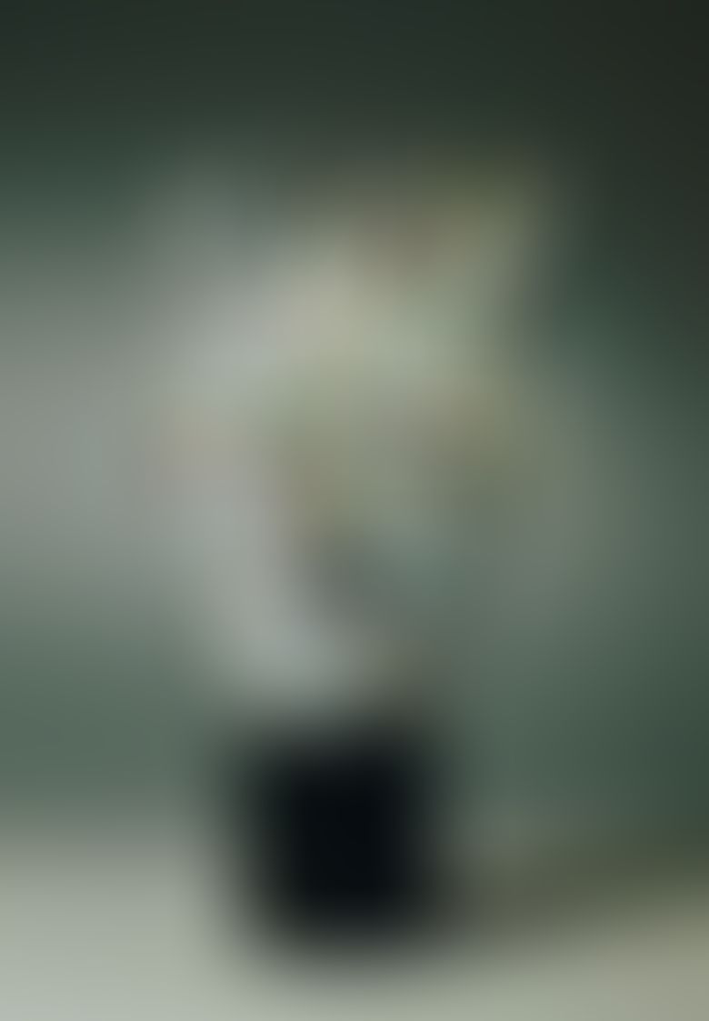 Object Image