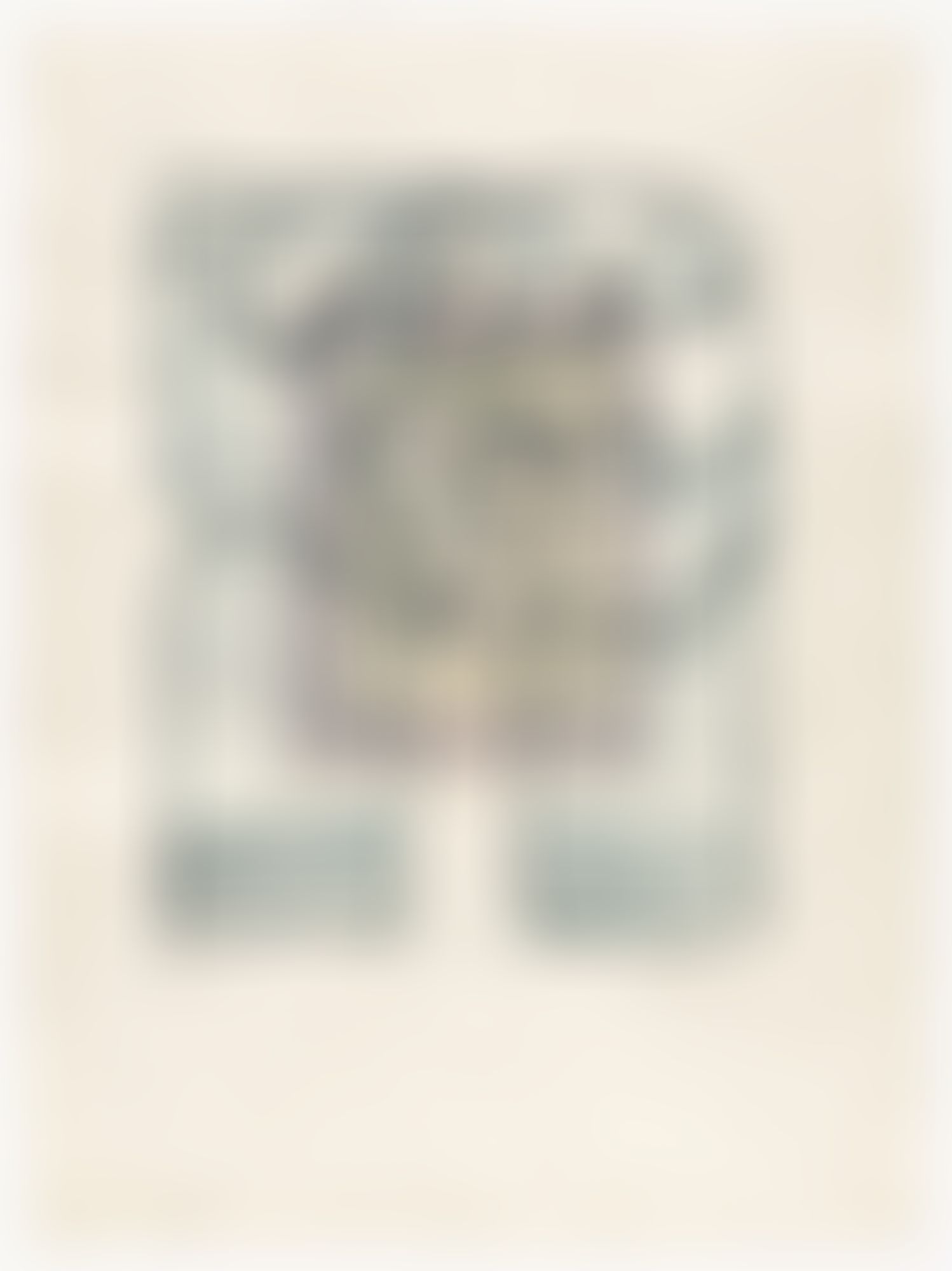 Object Image