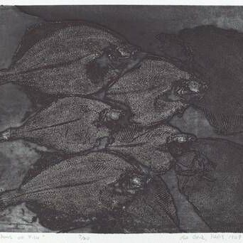 Shadows of Fish