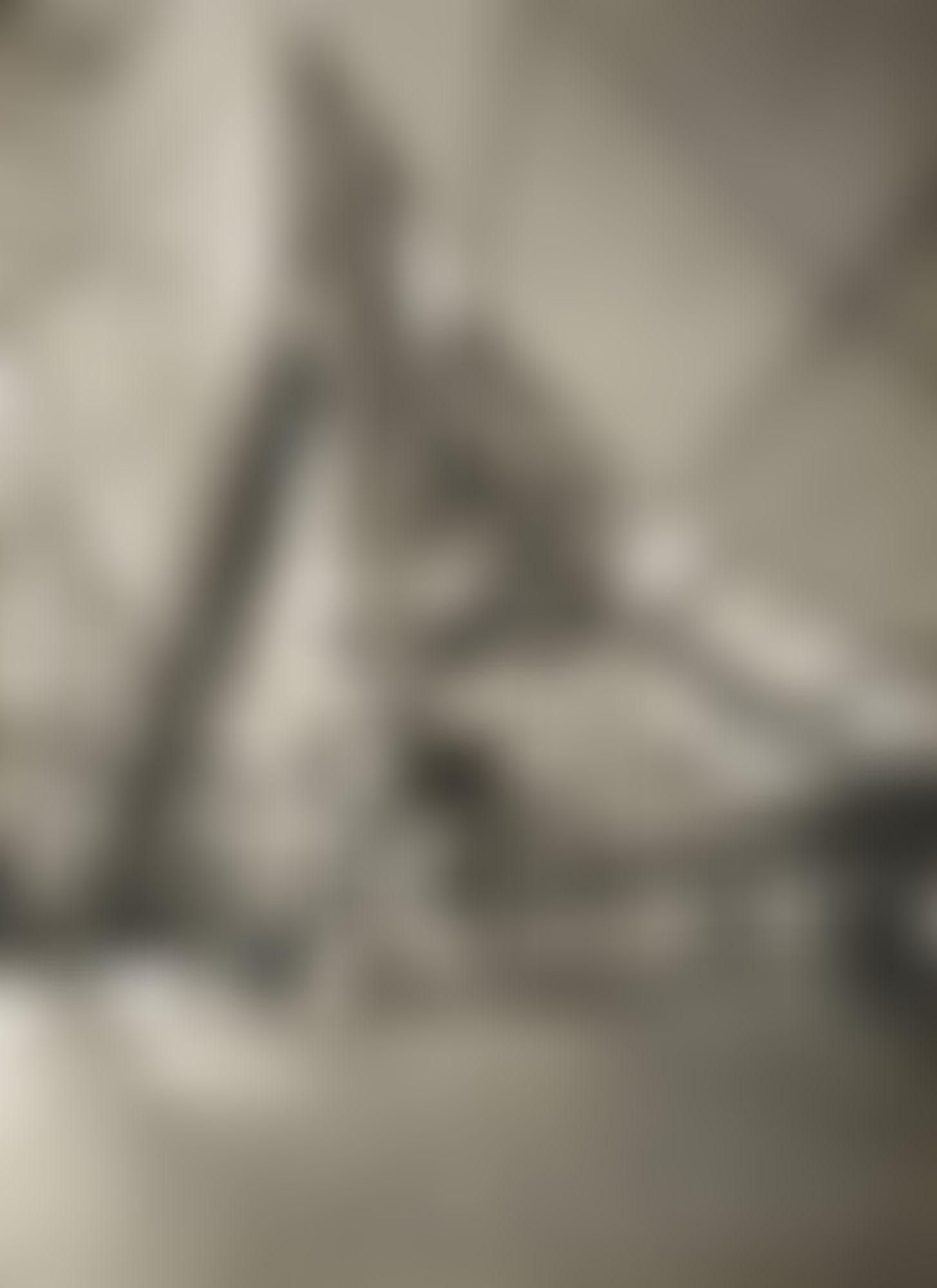 Object Image