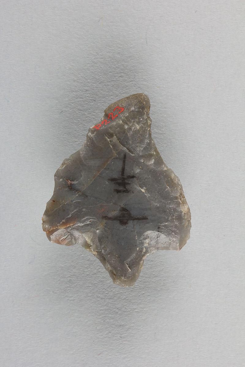 Object Image