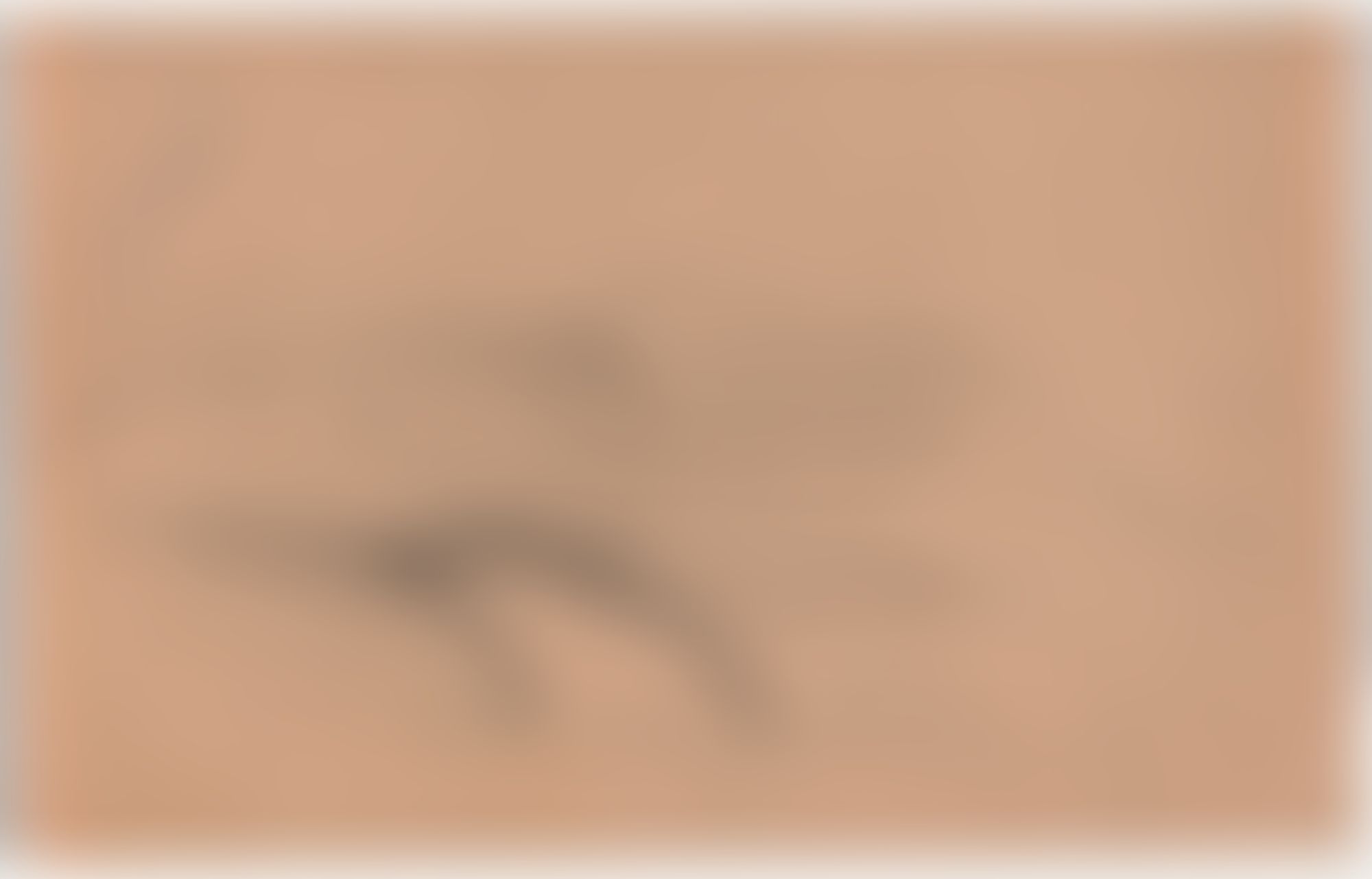 Object Image