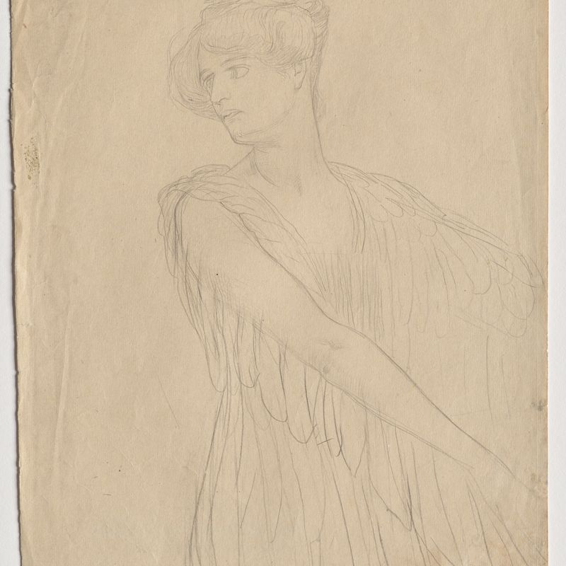 Euterpe