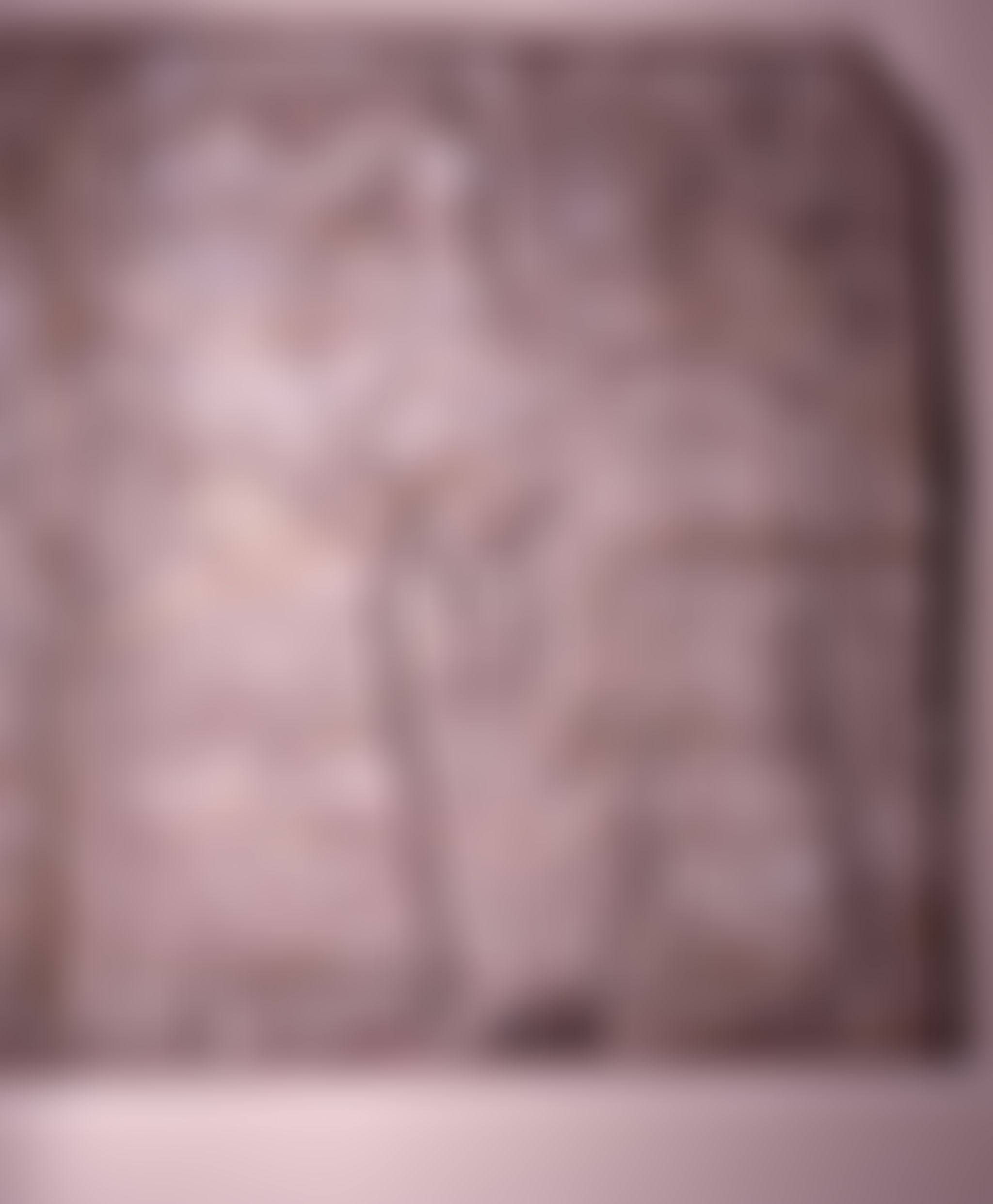 Object Image
