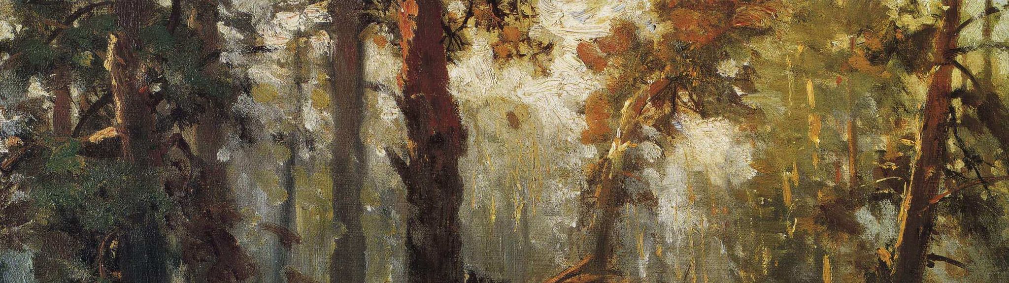 Morning in a Pine Forest. Sketch