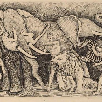 Chasse avec elephantes