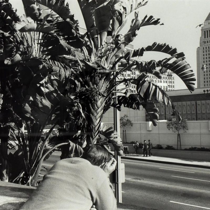Untitled (Los Angeles)