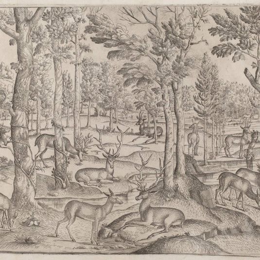 Deer in the Forest