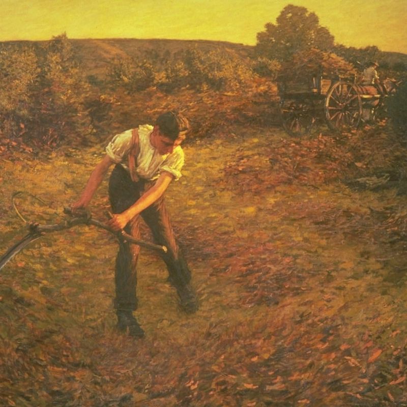 Mowing Bracken