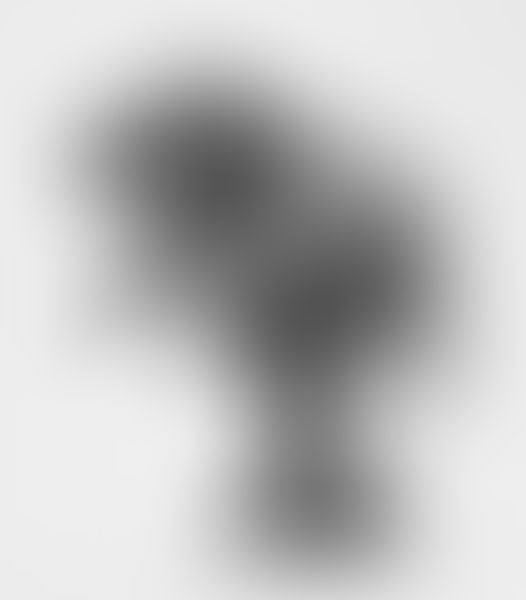 Object Image