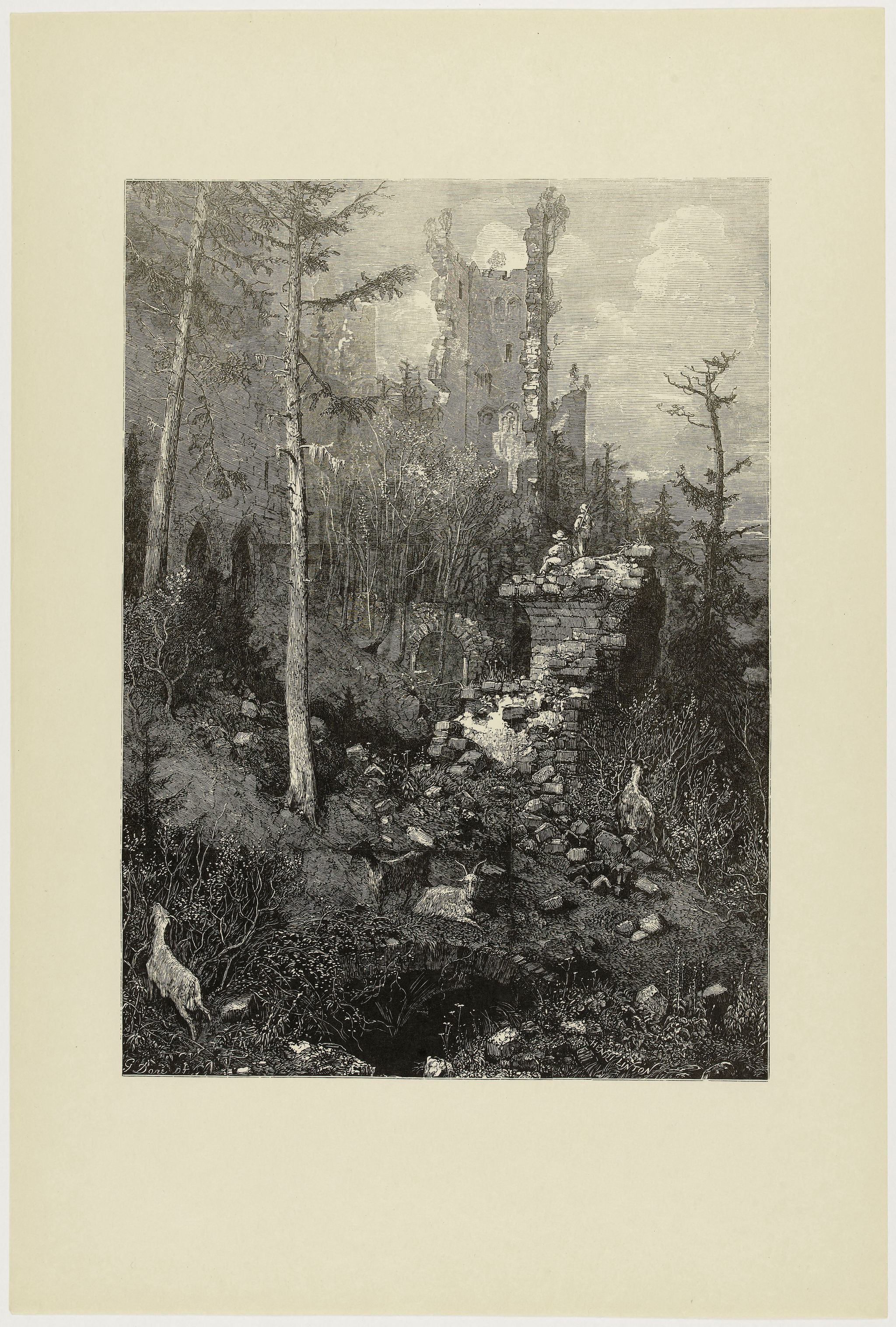 Object Image
