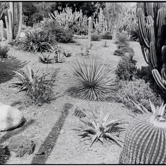 Huntington Gardens, California