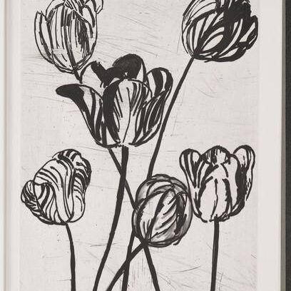 Tulip
