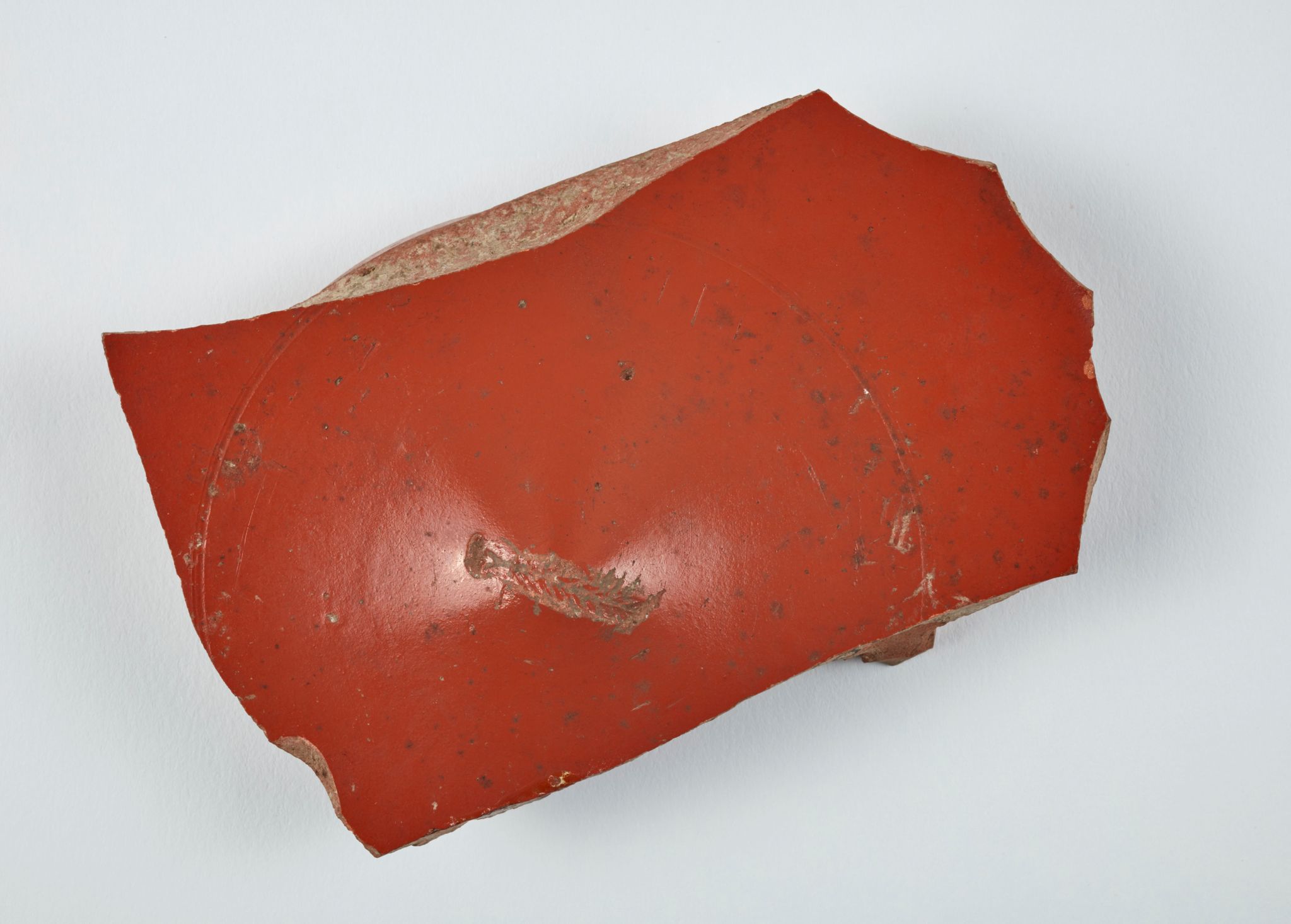 Object Image