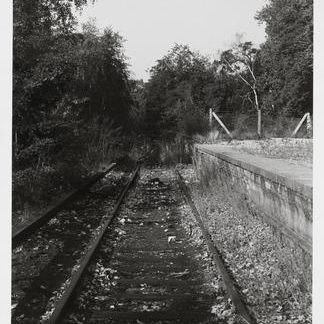 Berlin Geisterbahn - Berlin Stillgelegt (west): Wannseebahn: Düppel, 21-8-83; perron