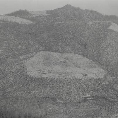 Area Clearcut Prior to 1980 Eruption Surrounded by Downed Trees--Clearwater Creek Valley--9 Miles East of Mount Saint Helens, Washington