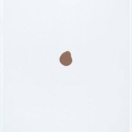 Stains: Leather Dye (Shinola)