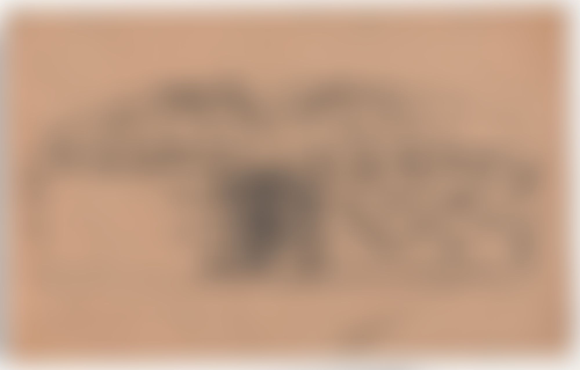 Object Image