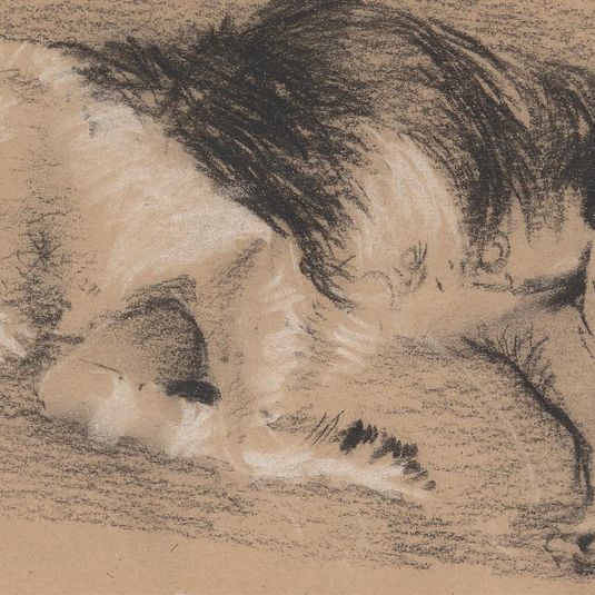 Sheep Dog Sleeping