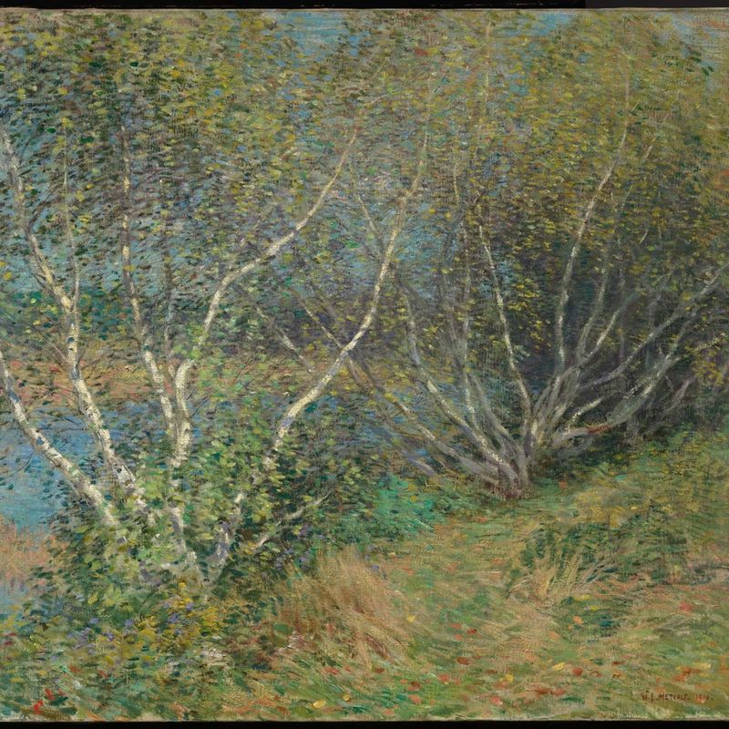 The Birches