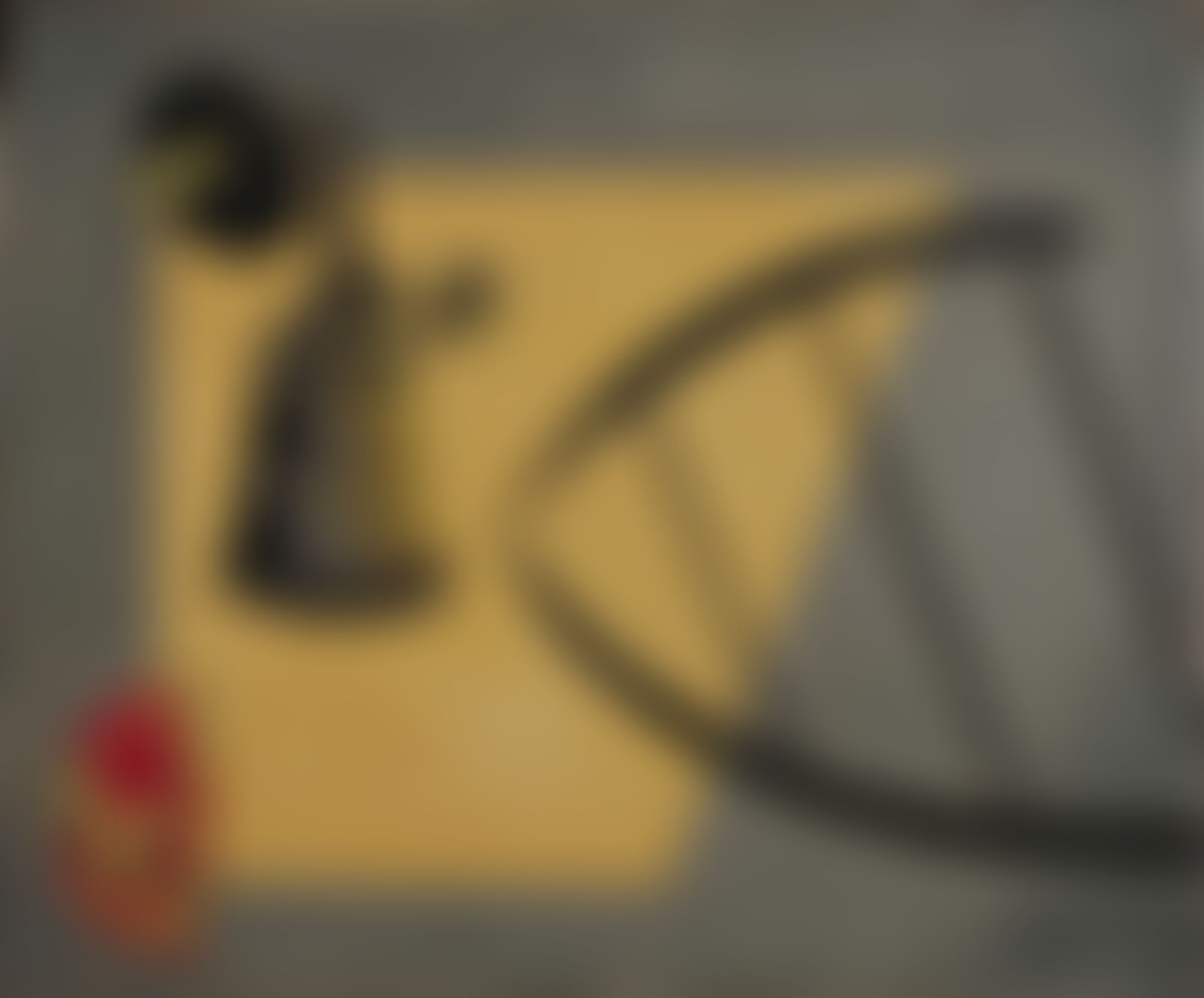 Object Image